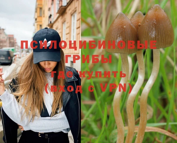 спайс Нефтекумск